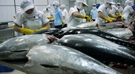 Exports to the Middle East increase sharply